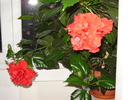 DSC03276