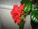 DSC03283