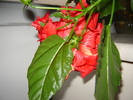 DSC03285