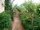 SANY8380