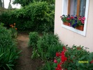SANY8391