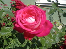 DSCF5843
