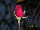 100_2902