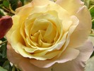 DSC07702