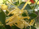 DSC07704