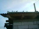 Copy (2) of ionut 020