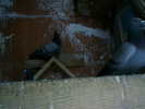 Copy (2) of ionut 045