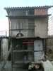 Copy (2) of ionut 052
