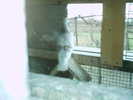 Copy (2) of ionut 076