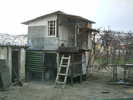 Copy (2) of ionut 084