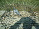 Copy (2) of ionut 087