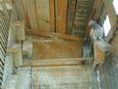 Copy (2) of ionut 100