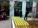 Pentru castigatori - 120 de Cupe !
