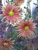 PICT0012