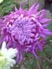 PICT0014