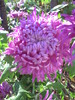 PICT0024