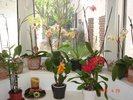 DSC07437