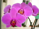 DSC08446