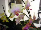 DSC08450