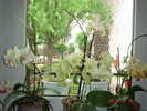 DSC08696