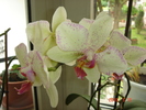 DSC08704
