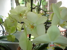 DSC08707