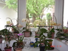 DSC08709