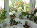 DSC08939