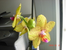 DSC09240