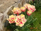 DSC08612