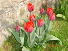 DSC08613