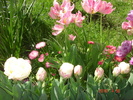 DSC08640