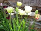 DSC08646