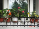 DSC08820