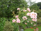 DSC08901