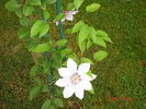 DSC08920