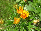DSC08971