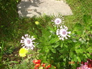DSC08977