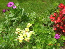 DSC08978