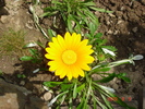 DSC08996
