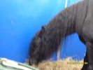 S1050760