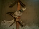 IMAG0030