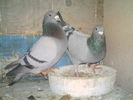 IMAG0035