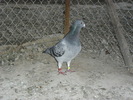 CIMG0650