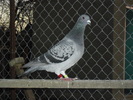 CIMG0652