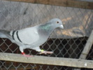 CIMG0654