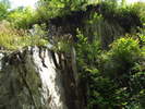 DSCF4337