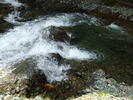 DSCF4349