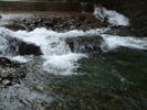 DSCF4351