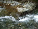 DSCF4353